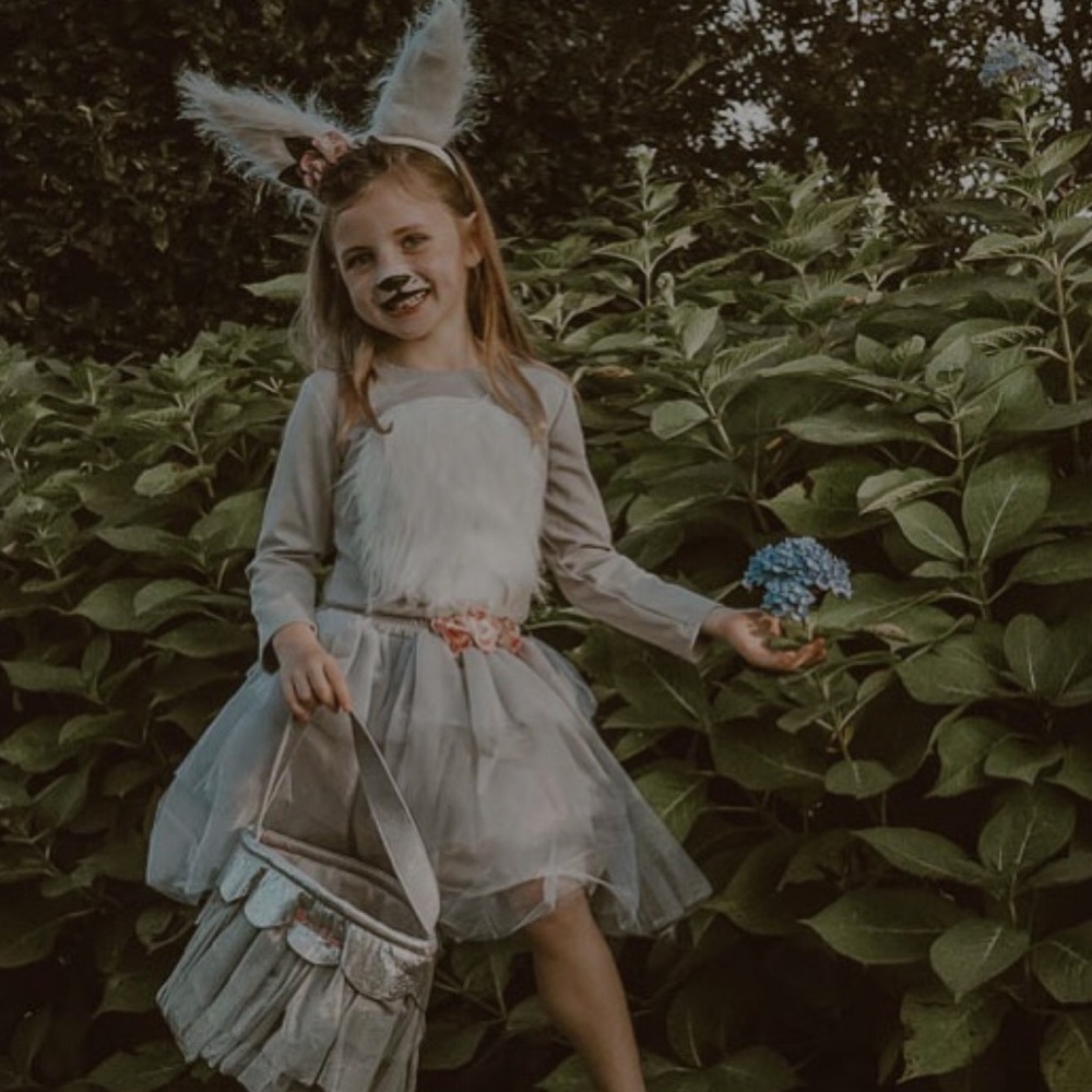 POTTERY BARN Bunny Tutu Woodland Creatures Dress Up Easter Costume